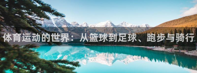 JJB竞技宝官网下载平台注册:体育运动的世界:从篮球到足球、